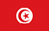 TGM Surveys për të fituar para në Tunizi